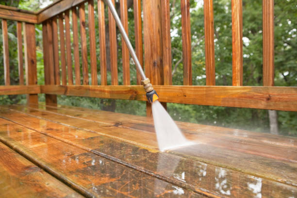 Best Residential Pressure Washing Services  in Fridley, MN