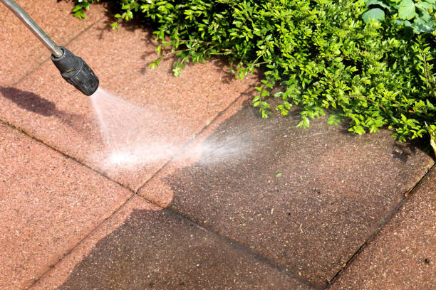 Best Sidewalk Pressure Washing  in Fridley, MN